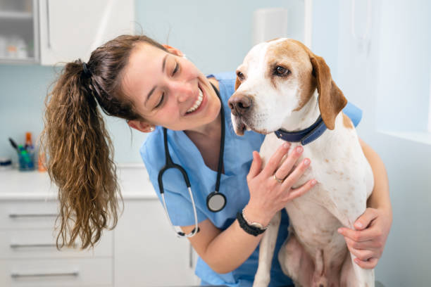 female doctor with dog at vetraj veterinary hospital